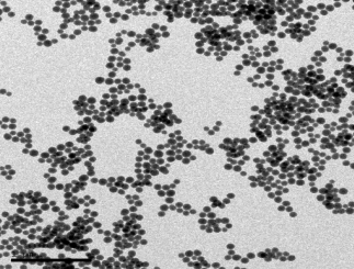 silica particles