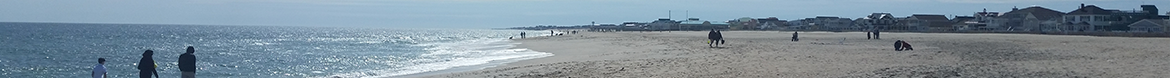 beach banner image