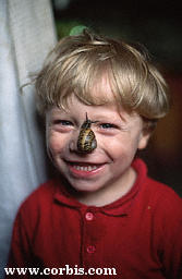 SnailBoy.jpg (9542 bytes)