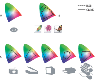 Illustration of The color gamuts of various devices and documents with these callouts: A. Lab color space (entire visible spectrum) B. Documents (working space) C. Devices