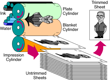 Offset lithography press