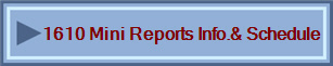 Mini Reports Info. & Schedule