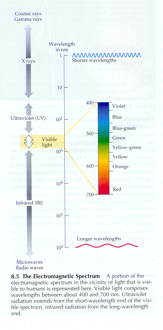 colorimetry