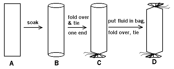 dialysis tubing diffusion